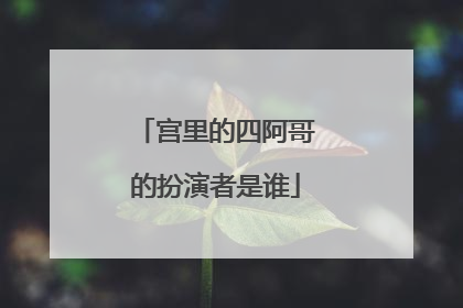 宫里的四阿哥的扮演者是谁