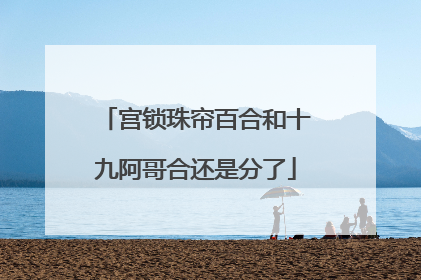 宫锁珠帘百合和十九阿哥合还是分了