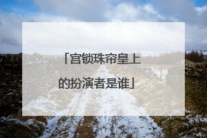 宫锁珠帘皇上的扮演者是谁