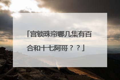 宫锁珠帘哪几集有百合和十七阿哥？？