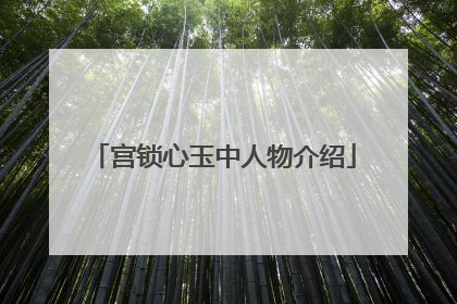 宫锁心玉中人物介绍