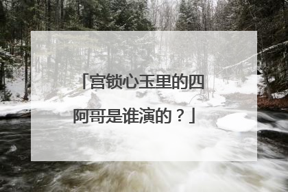 宫锁心玉里的四阿哥是谁演的？