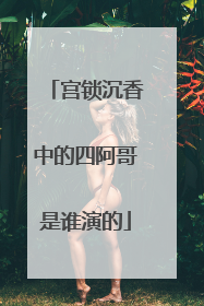 宫锁沉香中的四阿哥是谁演的