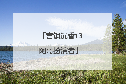 宫锁沉香13阿哥扮演者