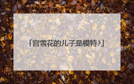 宫雪花的儿子是模特?