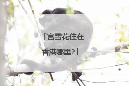 宫雪花住在香港哪里?