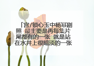 宫/锁心玉中杨幂剧照 最主要是再每集片尾都有的一张 就是站在水井上很暗淡的一张！！！谢谢