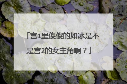 宫1里傻傻的如冰是不是宫2的女主角啊？