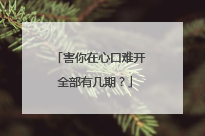 害你在心口难开全部有几期?