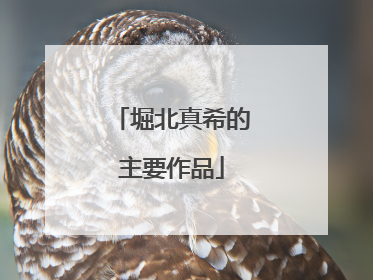 堀北真希的主要作品