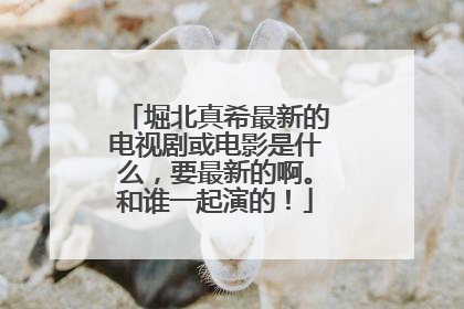 堀北真希最新的电视剧或电影是什么，要最新的啊。和谁一起演的！