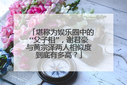 堪称为娱乐圈中的“父子相”,谢君豪与黄宗泽两人相似度到底有多高?