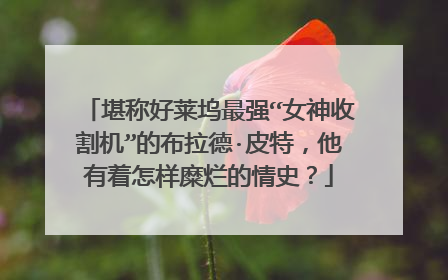 堪称好莱坞最强“女神收割机”的布拉德·皮特,他有着怎样糜烂的情史?