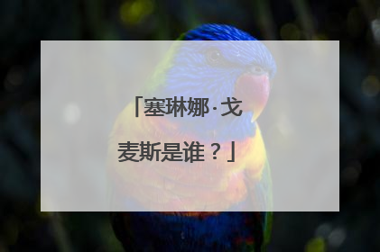 塞琳娜·戈麦斯是谁？