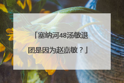 塞纳河48汤敏退团是因为赵嘉敏？