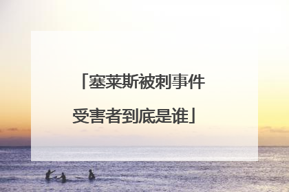 塞莱斯被刺事件受害者到底是谁