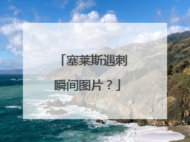 塞莱斯遇刺瞬间图片?