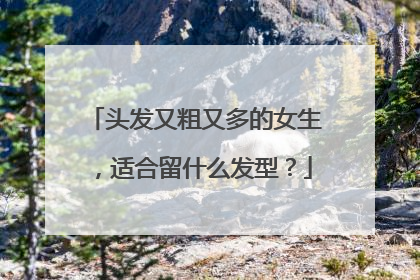 头发又粗又多的女生,适合留什么发型?