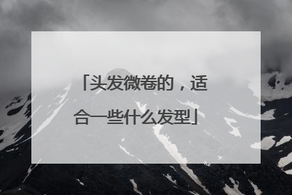 头发微卷的,适合一些什么发型