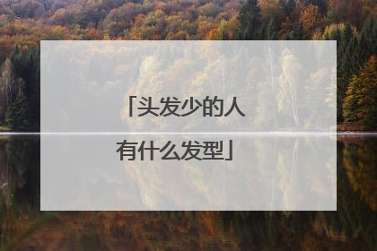 头发少的人有什么发型