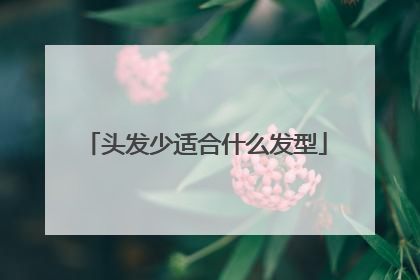 头发少适合什么发型