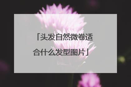 头发自然微卷适合什么发型图片