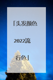 头发颜色2022流行色