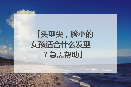 头型尖,脸小的女孩适合什么发型?急需帮助