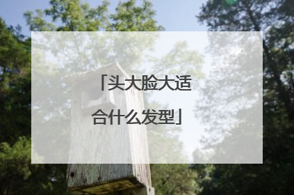 头大脸大适合什么发型