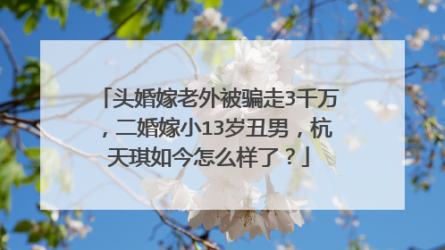 头婚嫁老外被骗走3千万,二婚嫁小13岁丑男,杭天琪如今怎么样了?