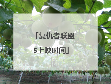 复仇者联盟5上映时间