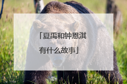 夏禹和钟恩淇有什么故事