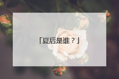 夏后是谁?