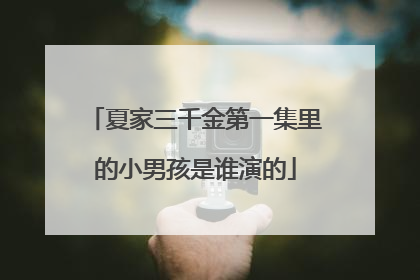夏家三千金第一集里的小男孩是谁演的