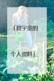 夏宇童的个人资料