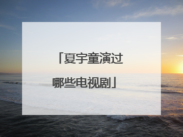 夏宇童演过哪些电视剧