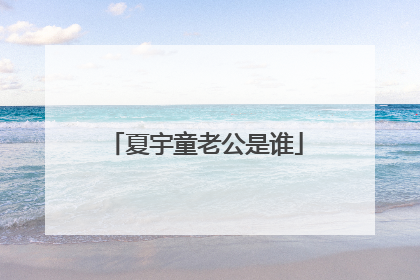 夏宇童老公是谁