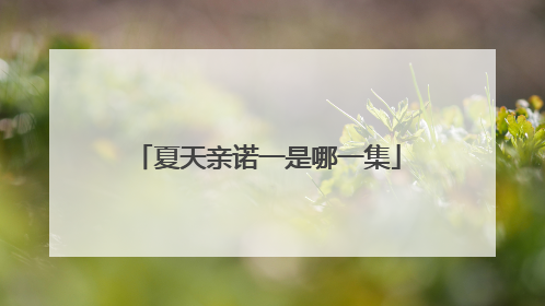 夏天亲诺一是哪一集