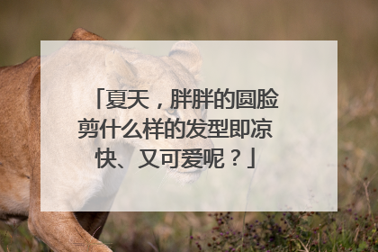 夏天，胖胖的圆脸剪什么样的发型即凉快、又可爱呢？