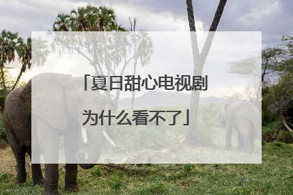 夏日甜心电视剧为什么看不了