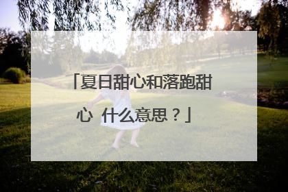 夏日甜心和落跑甜心 什么意思?