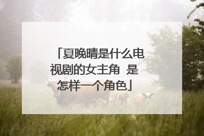 夏晚晴是什么电视剧的女主角 是怎样一个角色