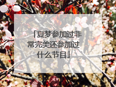 夏梦参加过非常完美还参加过什么节目