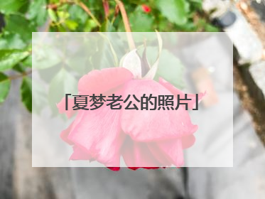夏梦老公的照片