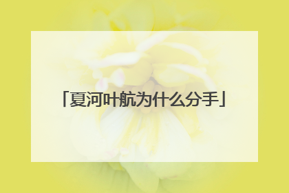 夏河叶航为什么分手