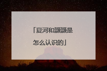 夏河和灏灏是怎么认识的