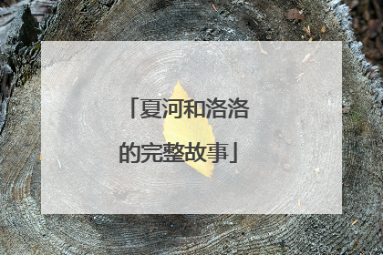 夏河和洛洛的完整故事