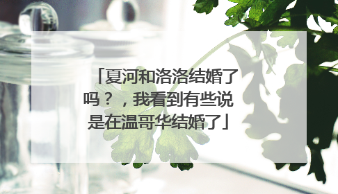 夏河和洛洛结婚了吗?,我看到有些说是在温哥华结婚了