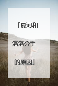 夏河和洛洛分手的原因