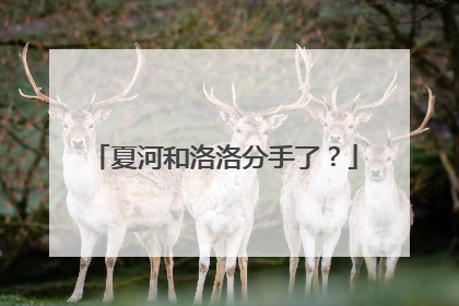 夏河和洛洛分手了?